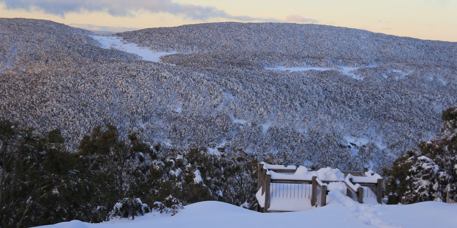 Seniors Season Entry Permit - Earlybird Special